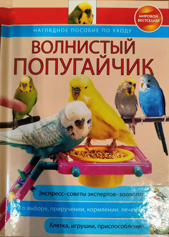 Волнистый попугайчик: наглядное пособие по уходу
