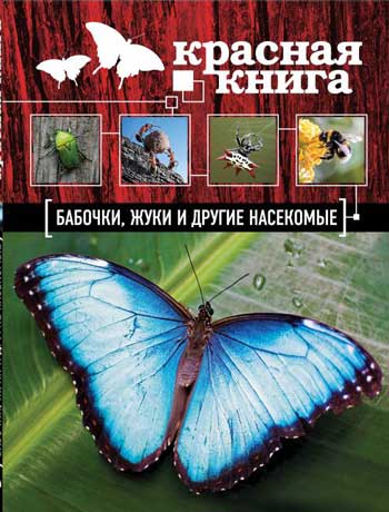 Красная книга: бабочки, жуки и другие насекомые